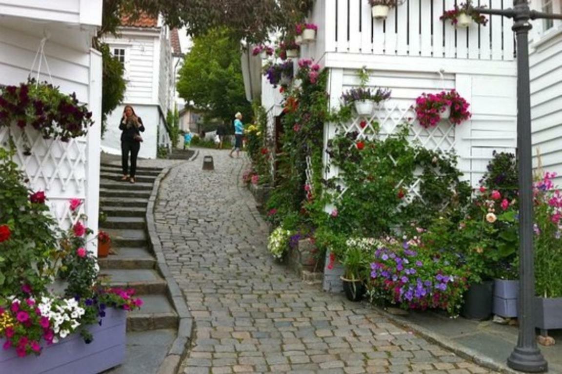 Historical Apartments In The Heart Of The Old Town Stavanger Eksteriør billede